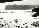 Ferienhaus Flechtdorfer Waldblick - Deine Ferien - Landschaft