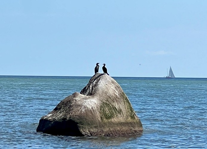 Villa Küsteneck - Deine Ferien - Ostsee