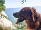 Küstenkind Kellenhusen - Deine Ferien - Hunde, Haustiere erlaubt