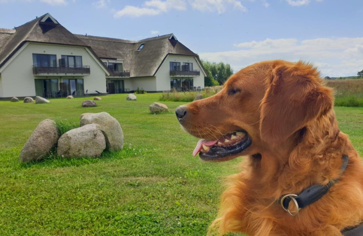 Wreecher Idyll 1 - Deine Ferien - Hunde, Haustiere erlaubt 