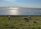 Deichbude Tossens - Deine Ferien - Deichblick