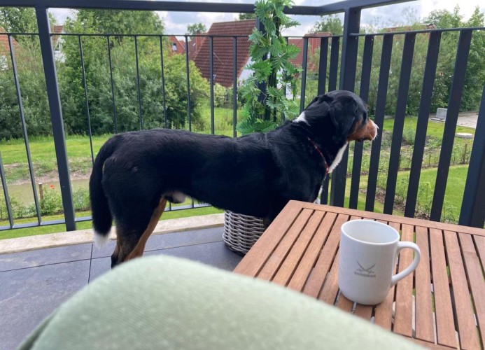 Dorumer Sielhuus 12 - Deine Ferien - Hund
