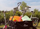 QUARTIER HOHE GEEST 3 - Bollerwagen - Deine Ferien
