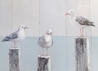 Meerglück - Deine Ferien