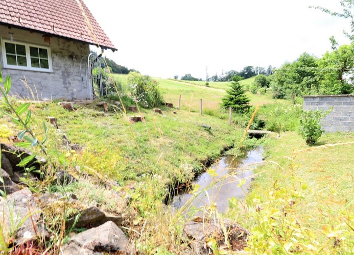 Ferienhaus Flechtdorfer Waldblick - Deine Ferien - Bachlauf 