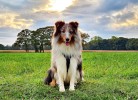 Wolke 7 - Deine Ferien - Hunde, Haustiere erlaubt 