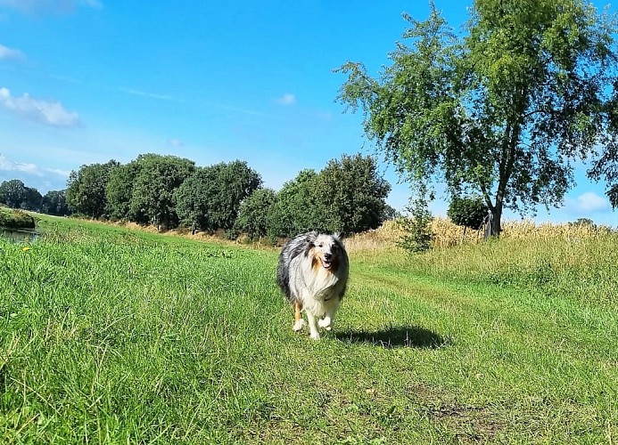 Dorumer Sielhuus 10 - Deine Ferien - Hunde, Haustiere erlaubt
