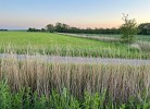 Deichbude Tossens - Deine Ferien - Aussicht ins Grüne