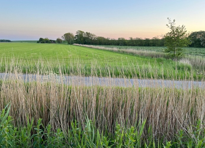 Deichbude Tossens - Deine Ferien - Aussicht ins Grüne