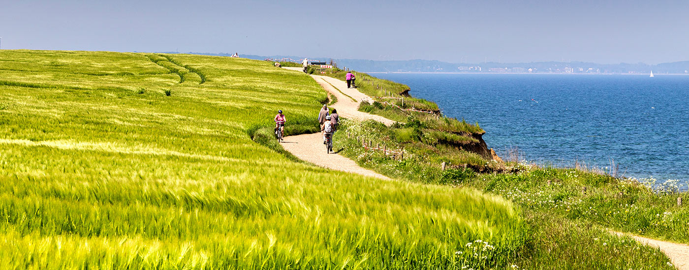 Ferienhaus buchen Urlaubsregion Ostsee