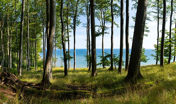 Ferienhaus mieten Lohme auf Rügen