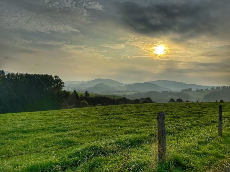Landschaft