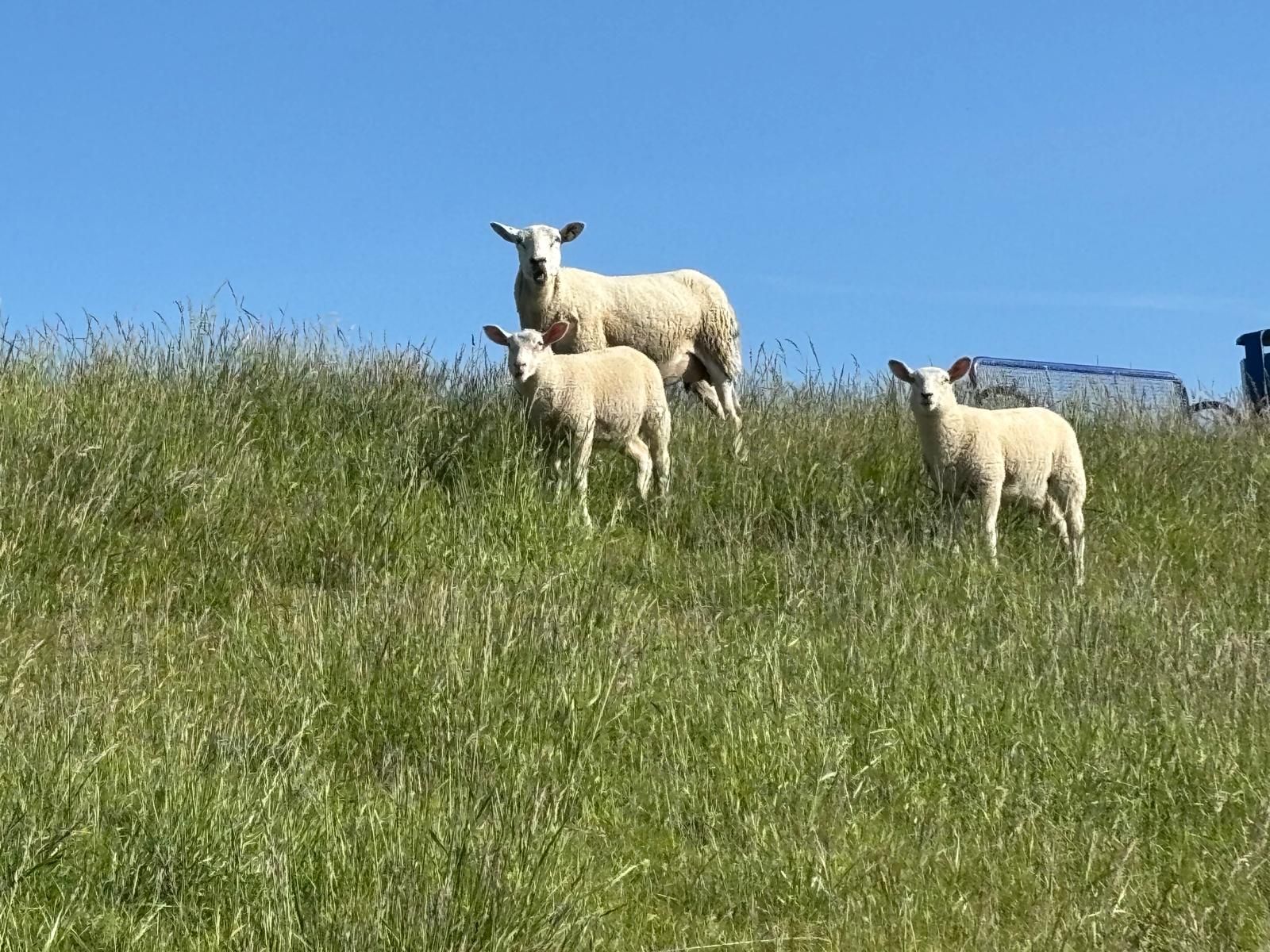 Landschaft
