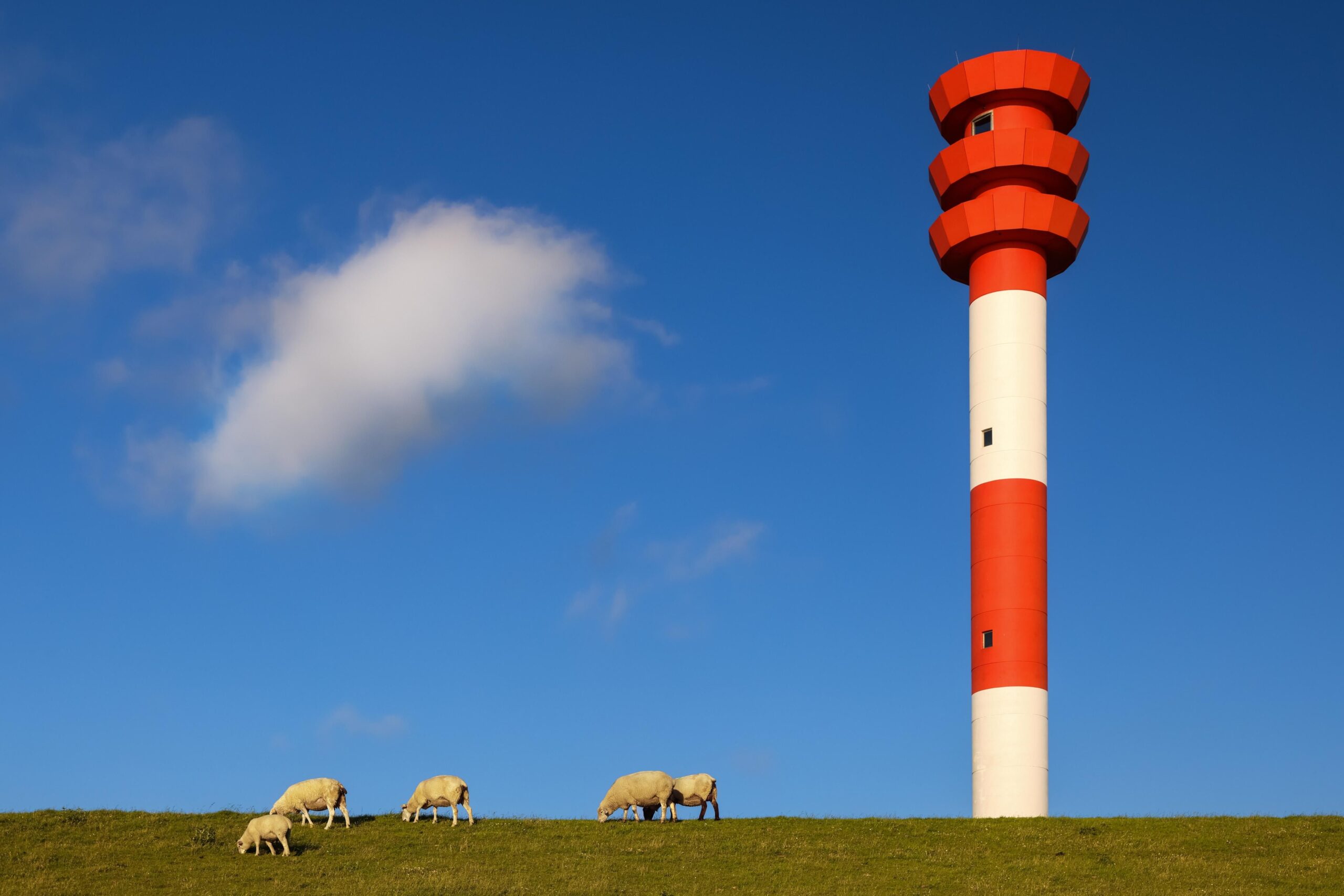 Landschaft