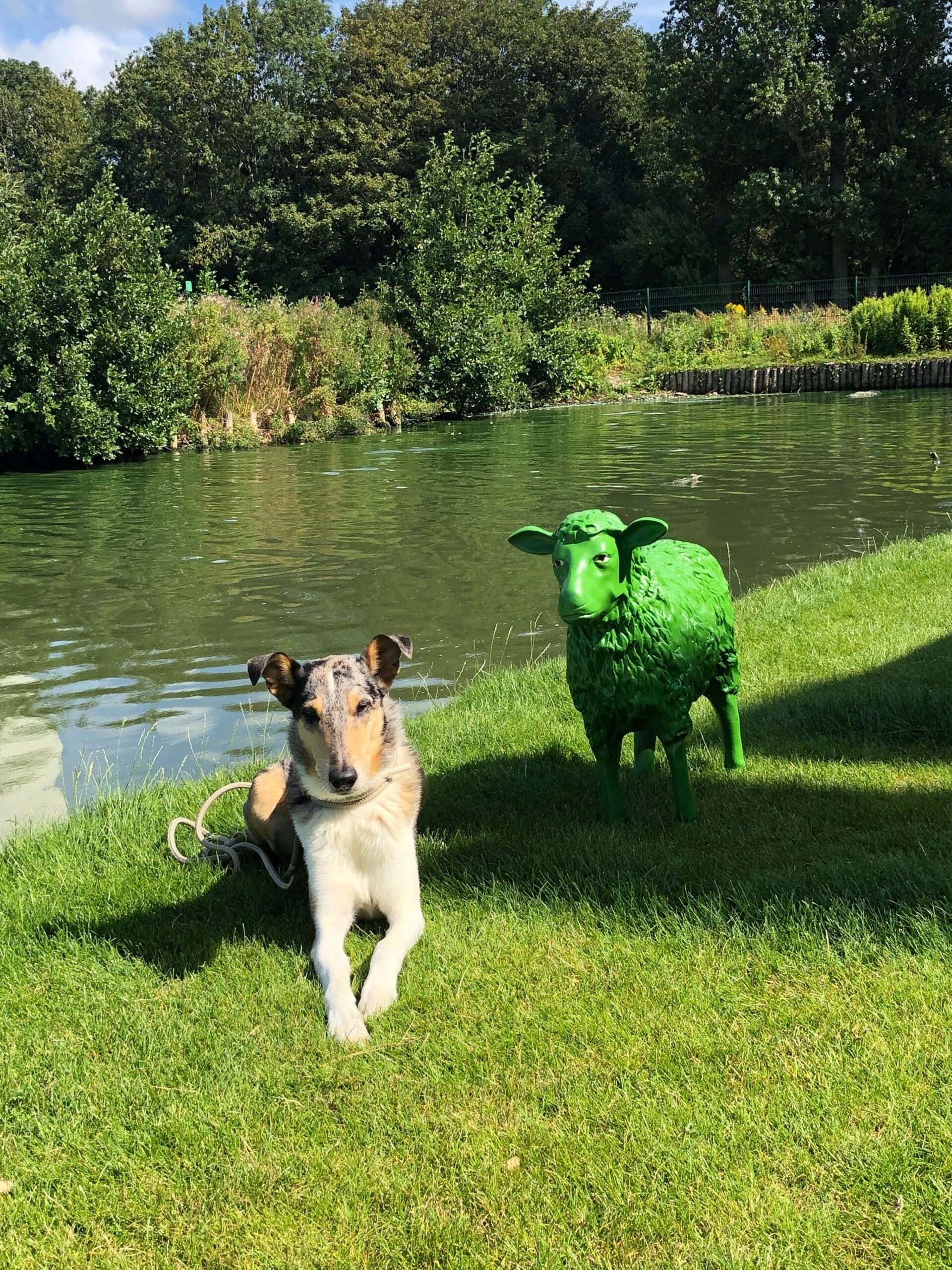 Gartenblick