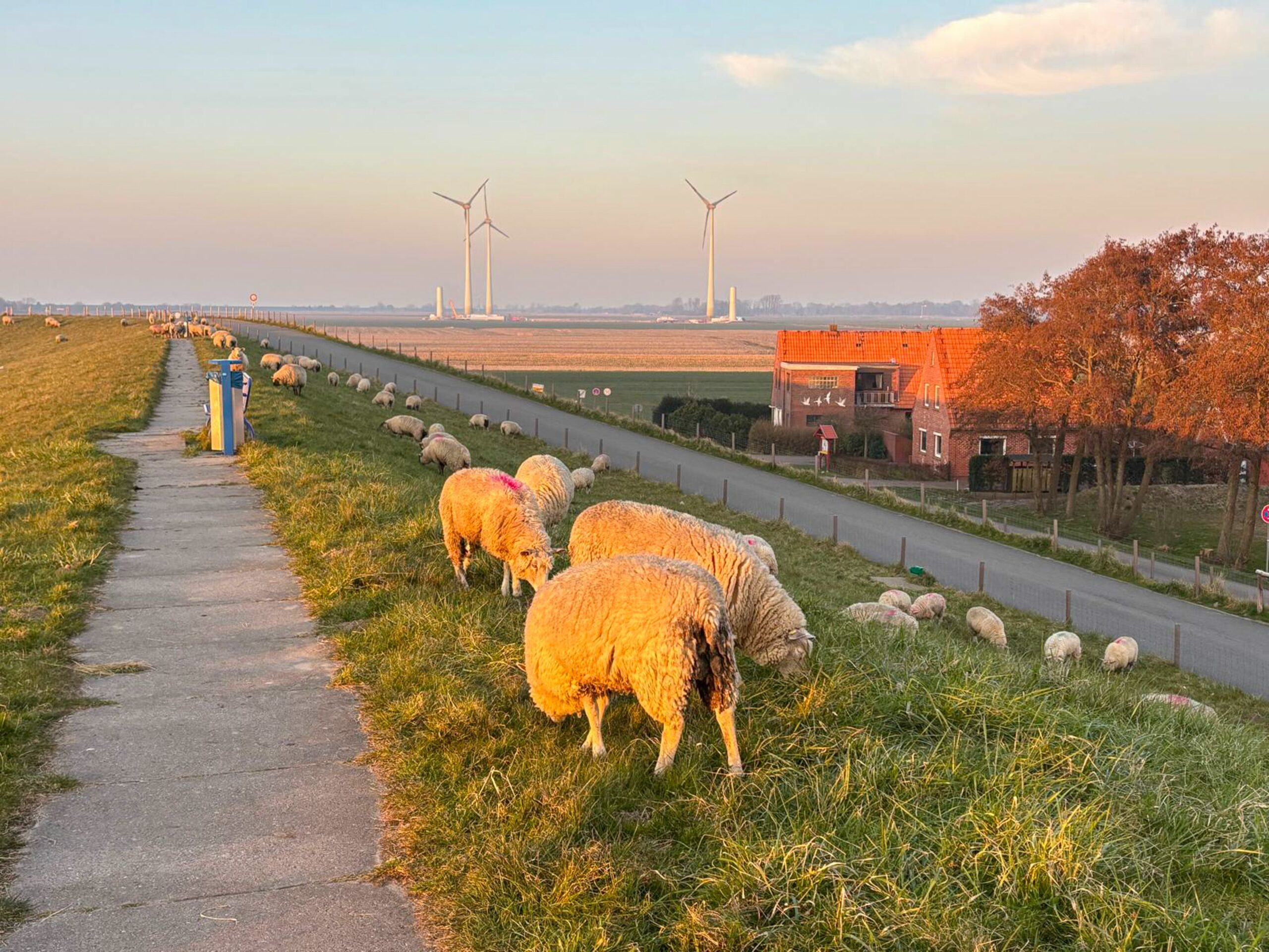 Landschaft