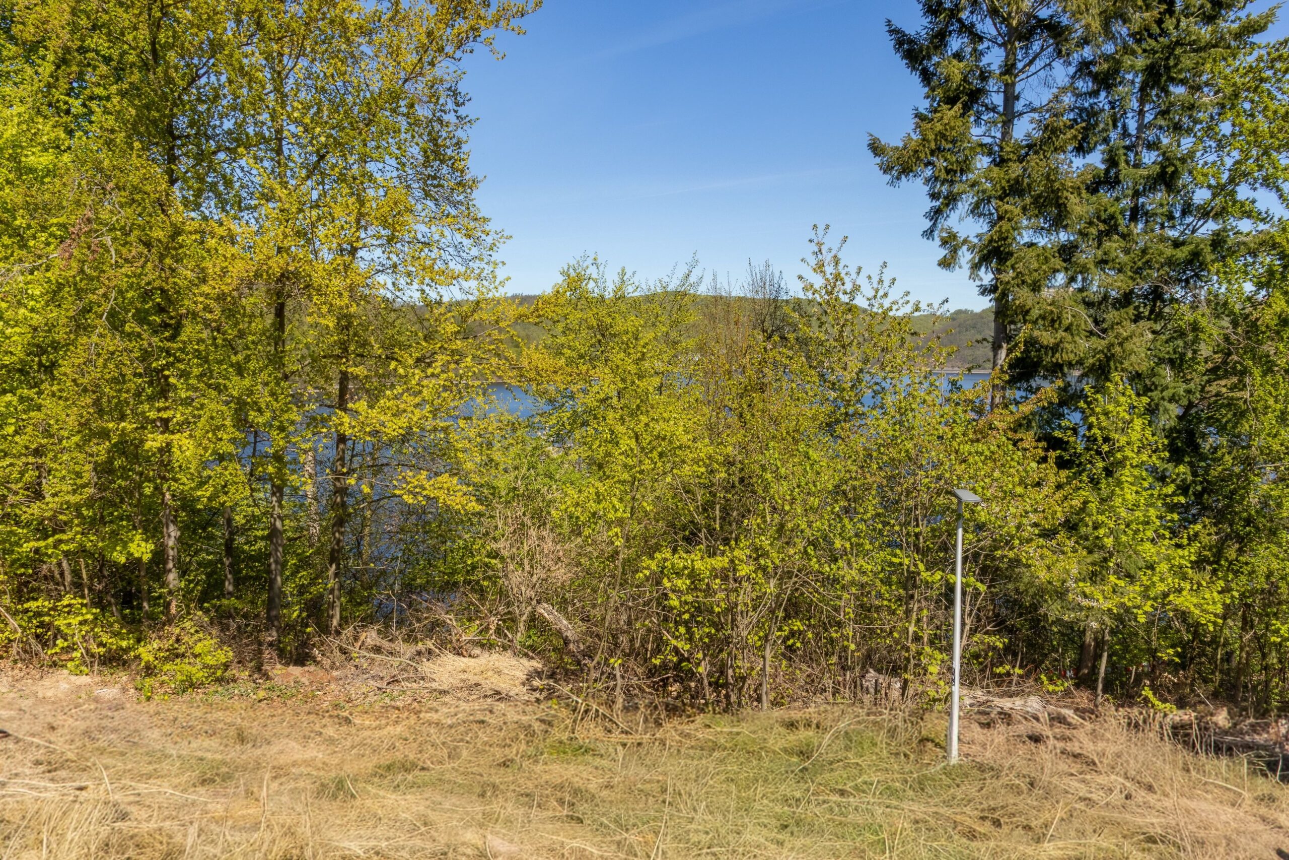 Landschaft