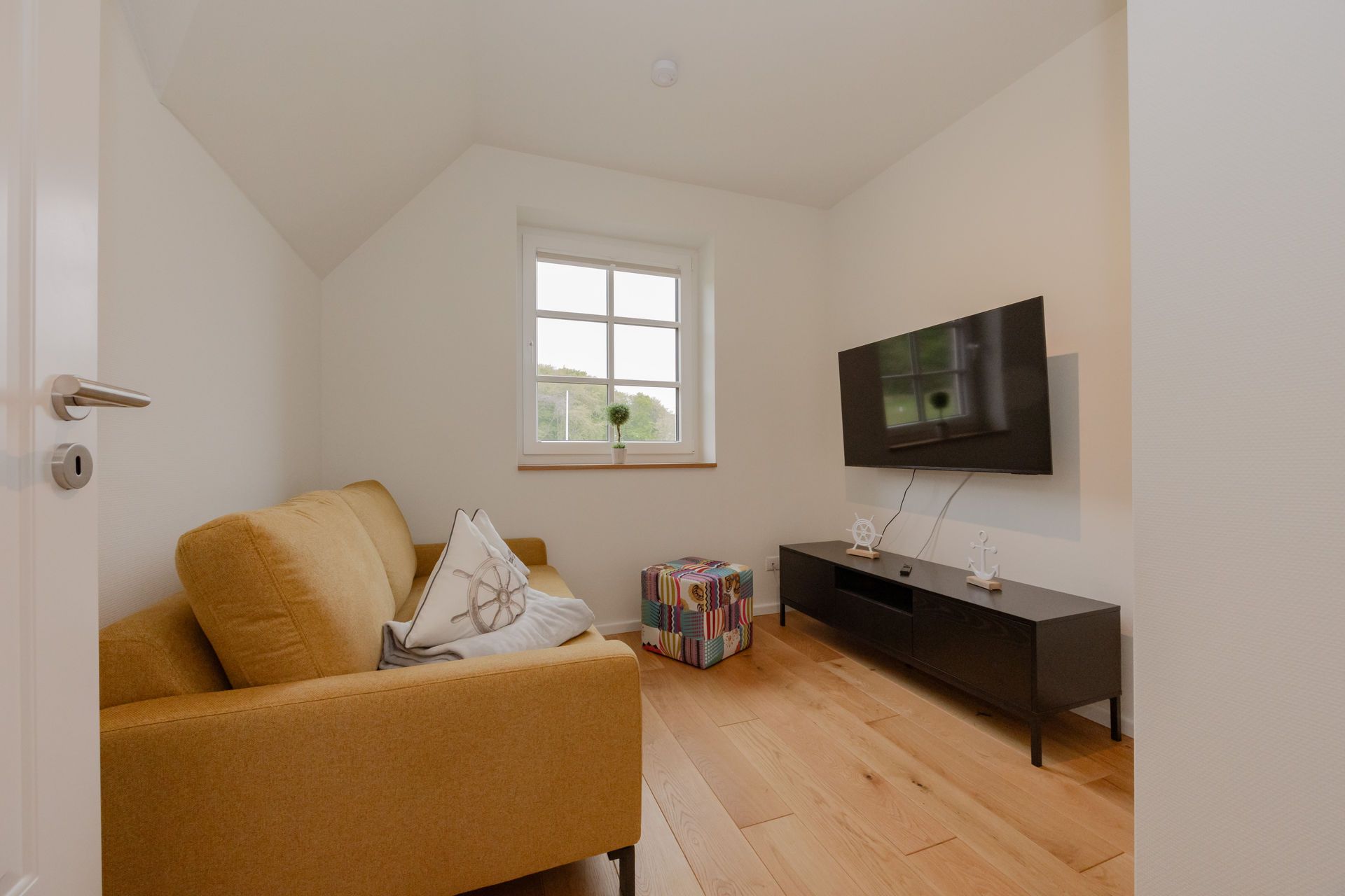 TV / Multimedia