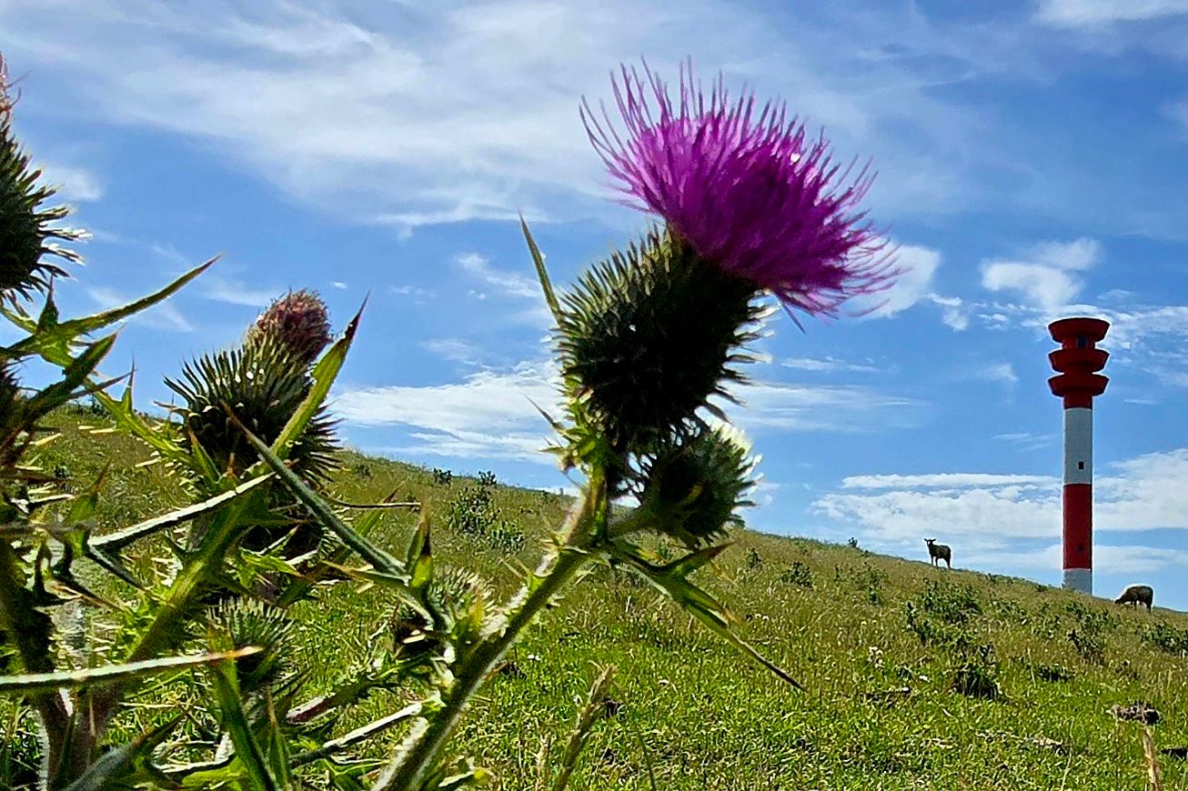 Landschaft