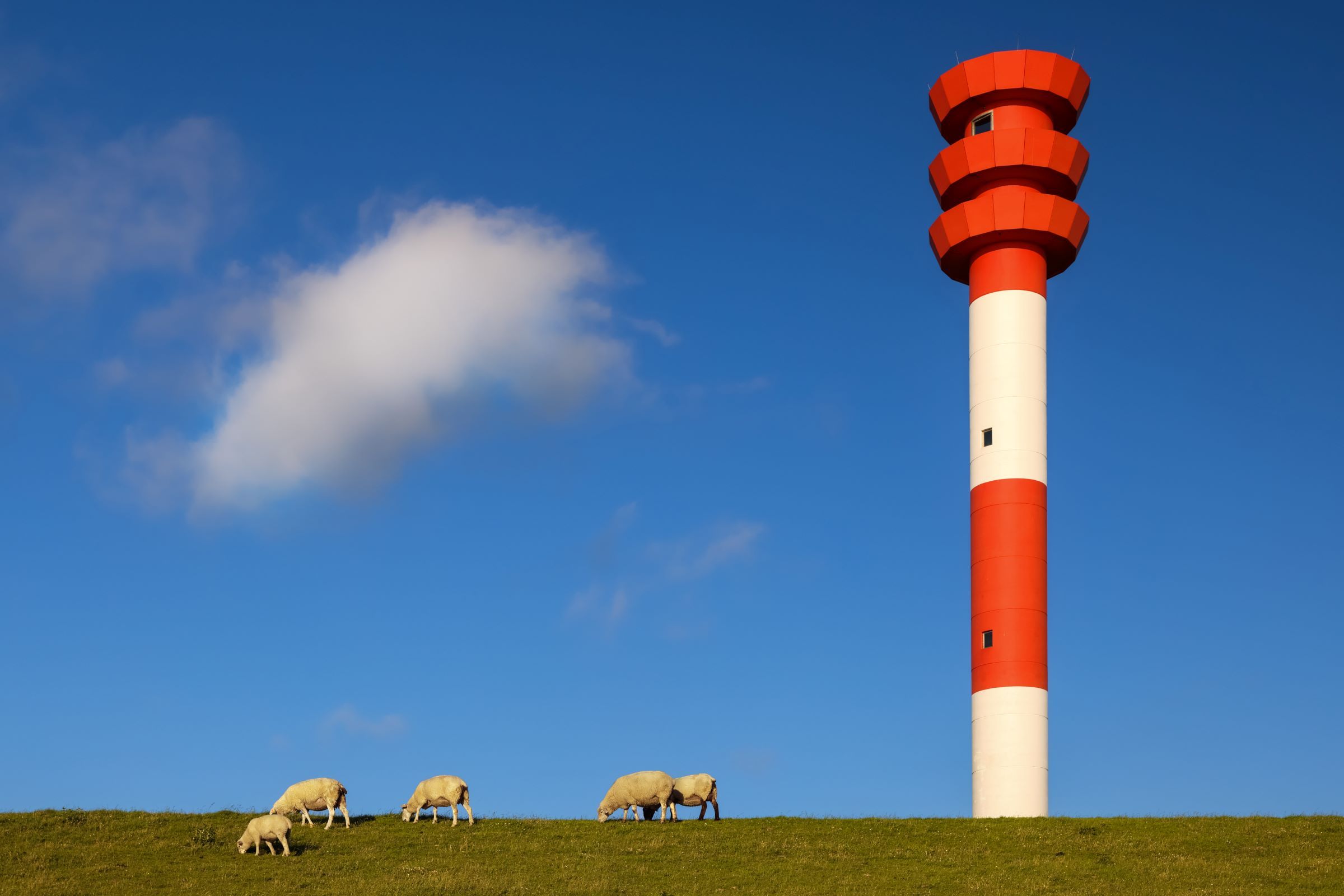 Landschaft