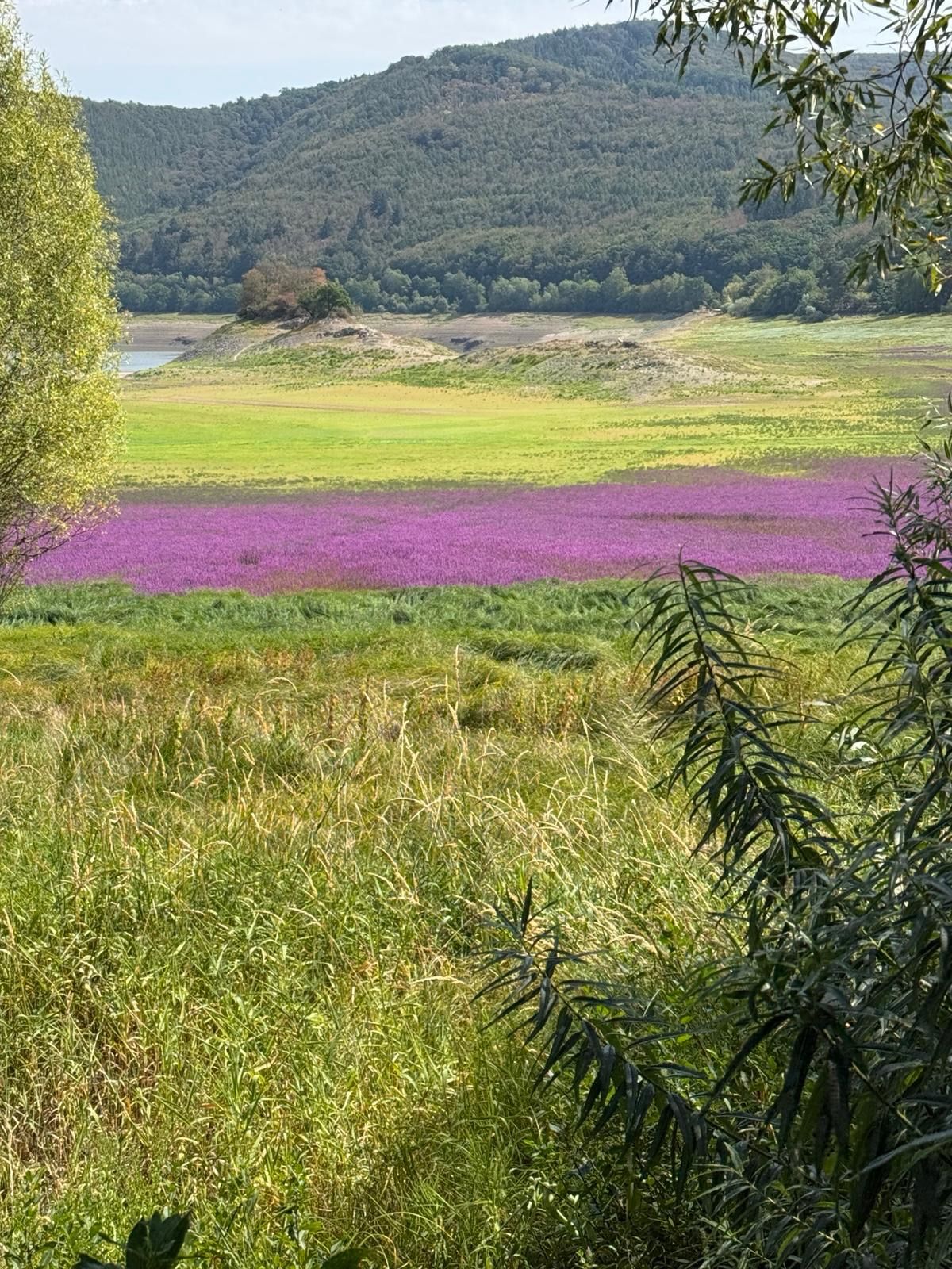 Landschaft
